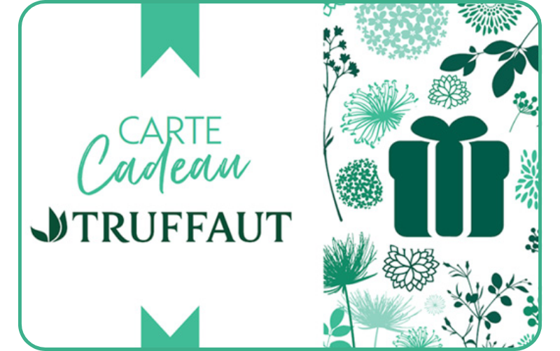 Truffaut