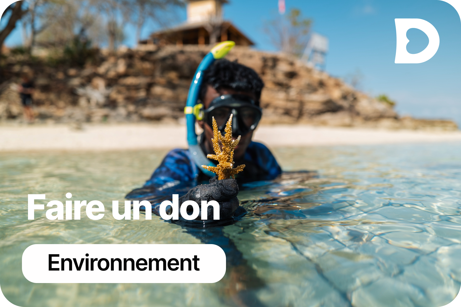 Environnement